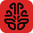 brainrot