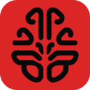brainrot